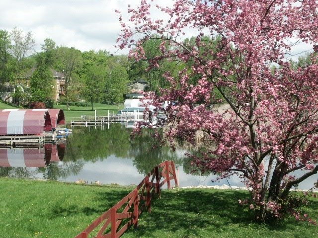 A pink flowering tree stands by a red fence near a calm lake at 4691 Wilshire Blvd, with docks, boats, and houses in the background on a partly cloudy day. - Beise Real Estate