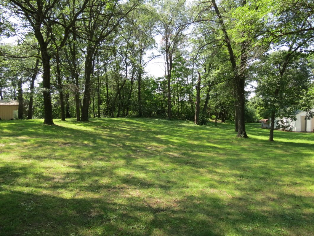 A grassy yard with scattered trees casting shadows, bordered by woodland; a beige shed and part of a white building sit on the edges of this Big Lake Township parcel—an inviting spot for your real estate dreams. - Beise Real Estate