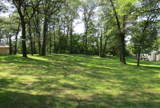 A grassy yard with scattered trees casting shadows, bordered by woodland; a beige shed and part of a white building sit on the edges of this Big Lake Township parcel—an inviting spot for your real estate dreams. - Beise Real Estate