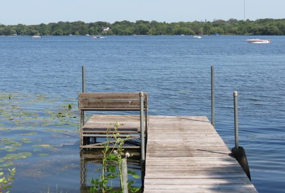 A wooden dock extends over a calm lake in Big Lake Township, with lily pads in the foreground and boats visible on the water; trees line the opposite shore. - Beise Real Estate