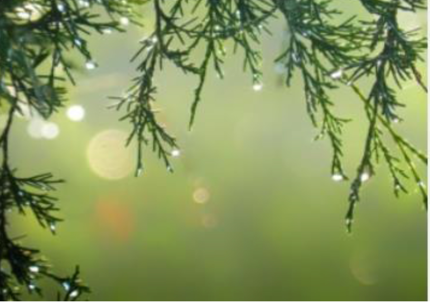 Dew-covered pine branches hang in the foreground with a soft, green, blurred background and circular bokeh lights, evoking the cozy spirit of holiday traditions. - Beise Real Estate