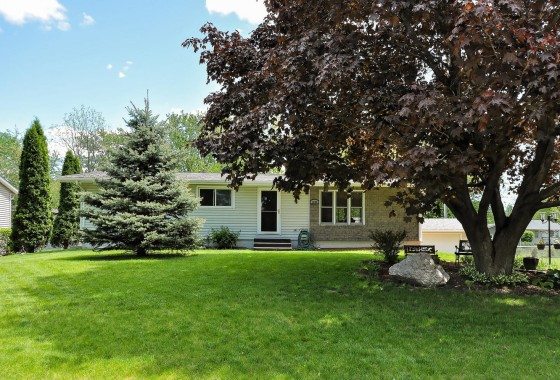 Single-story house with light siding on Rainbow Avenue, a black front door, large windows, and a shaded front yard featuring a mature tree and well-kept lawn in Maple Plain. - Beise Real Estate