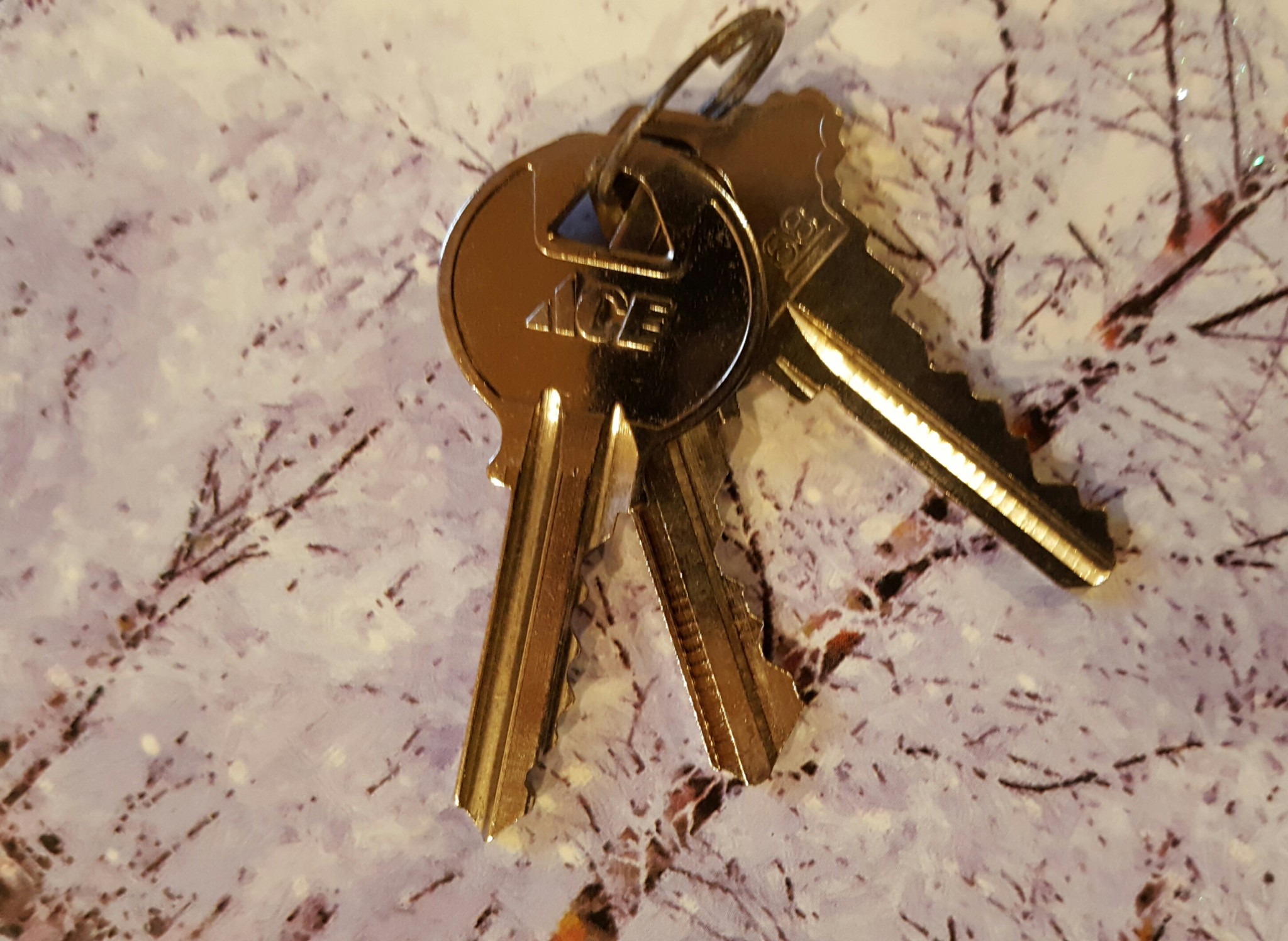 A set of three metal keys on a keyring rests on a surface with a snowy, tree-branch pattern, hinting at the Magic of Keys waiting to be unlocked. - Beise Real Estate