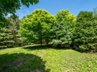 A sunlit grassy area with several green trees, including broadleaf and coniferous varieties, under a clear blue sky—an inviting setting for real estate at 4880 Grand View Avenue in Minnetrista. - Beise Real Estate