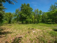 Open grassy area with scattered patches of dirt at 4880 Grand View Avenue, Minnetrista, surrounded by dense green trees under a clear blue sky. - Beise Real Estate