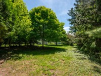A sunlit backyard at 4880 Grand View Avenue, Minnetrista, features green grass, tall trees, and a white fence in the background under a blue sky. - Beise Real Estate