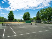 Empty outdoor tennis courts with white boundary lines on Rainbow Avenue in Maple Plain, surrounded by a chain-link fence, trees, and a baseball field under a partly cloudy sky. - Beise Real Estate